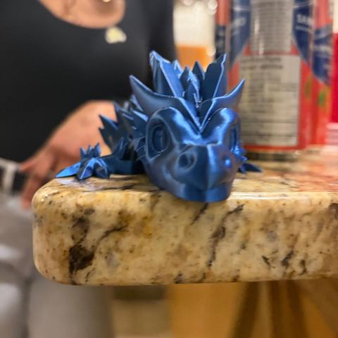 Hidden (3D) Dragon